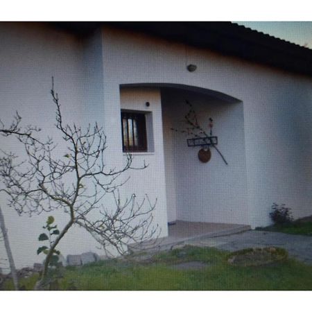 Appartamento In Villa Con Giardino A 300M Dal Lago Maggiore Castelletto sopra Ticino Dış mekan fotoğraf