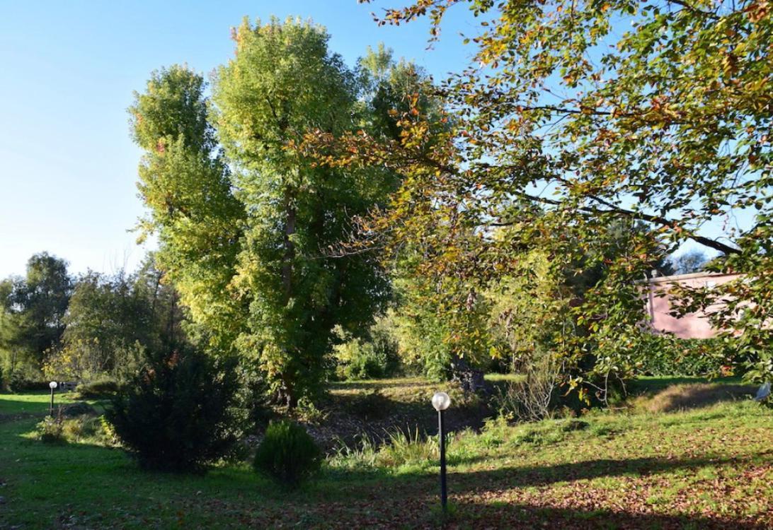 Appartamento In Villa Con Giardino A 300M Dal Lago Maggiore Castelletto sopra Ticino Dış mekan fotoğraf